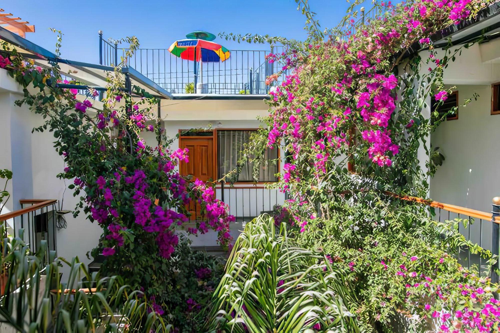 Casa El Errante Hotel Arequipa Ngoại thất bức ảnh